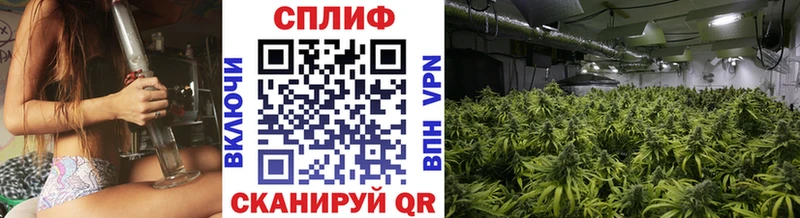 Наркотические вещества Вышний Волочёк МАРИХУАНА Героин ГАШ A PVP