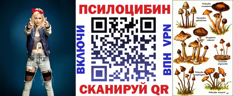 маркетплейс формула где купить наркотик Вышний Волочёк Псилоцибиновые грибы Magic Shrooms